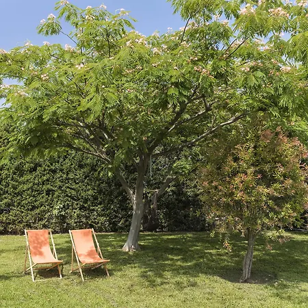 וילה Royal Classico קולימביה